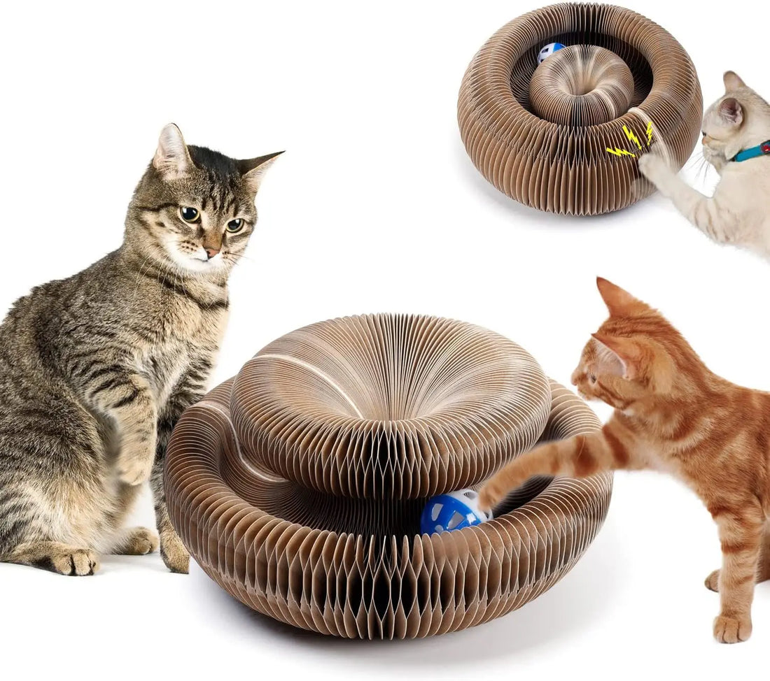 Foldable Organ Cat Scratcher